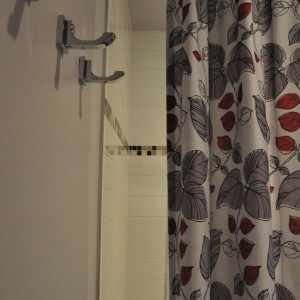 dsc_0396_01-ae0dc9faabe94449d38d72ad71d4c6a3