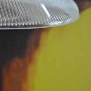 dsc_0901-c55c56e700f9dfbb064c0878f95a2f7f