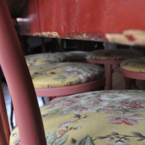 dsc_0905-241051c03d80cb1ce2ae11f31cbb0fc4